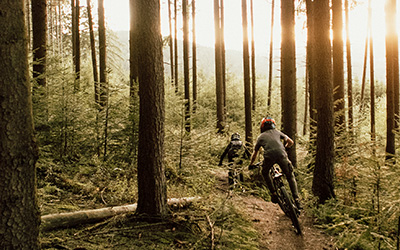 Mountainbikefahren in den Sauerländer Wäldern - Tourismusverband Biggesee-Listersee - Foto: Steffen Schulte-Lippern